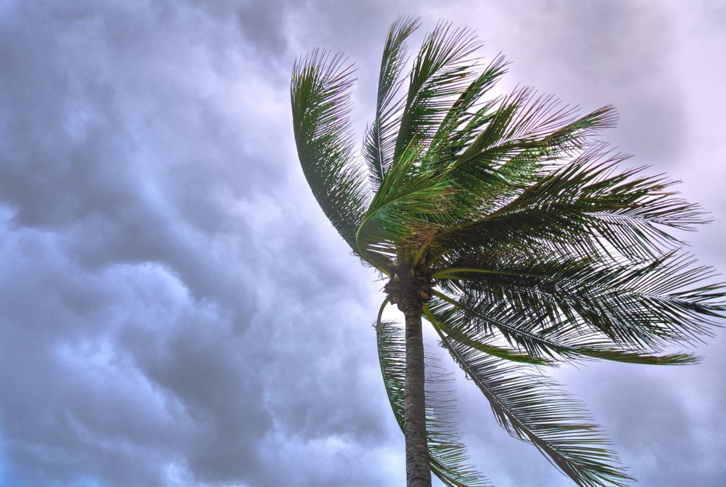 Natural Disaster Contingency Planning – Are You Prepared?
